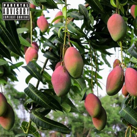 Mango Red