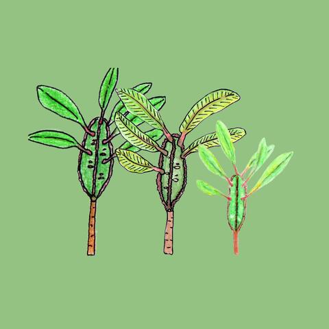 Repot Me (feat. lica b.)