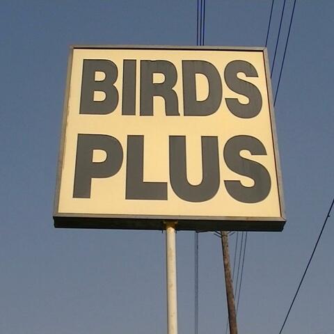 BIRDS PLUS (feat. Mr. Anderson)
