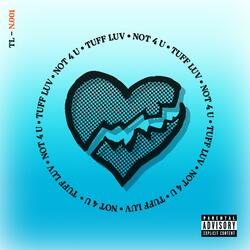 NOT 4 U (feat. MacLeigh)