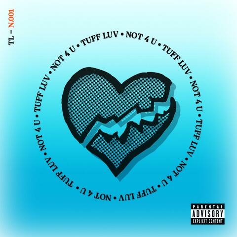 NOT 4 U (feat. MacLeigh)