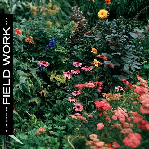 Field Work, Vol. 1