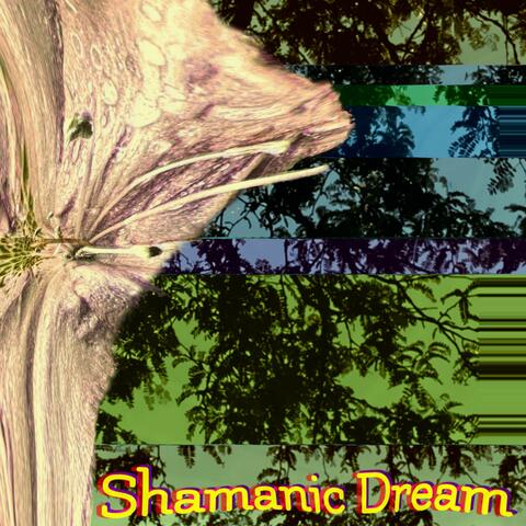 Shamanic Dream