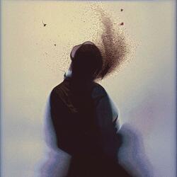 No Fairytails