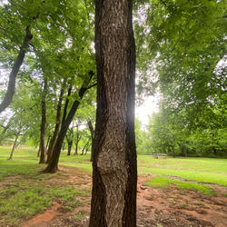 everything i own is covered in dirt -demo