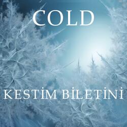 Kestim Biletini