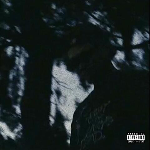 IDFWU