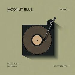 Moonlit Blue
