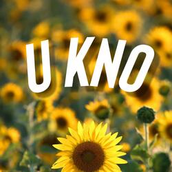 U Kno (feat. Jay Gee)