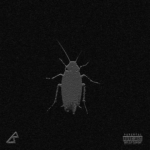 Cafard Musique, Vol. 2