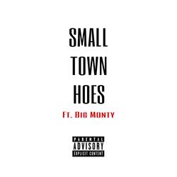 Small Town Hoes (feat. Big Monty)