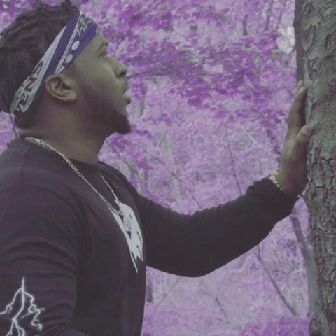 Purple Trees