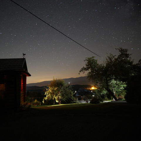 stars