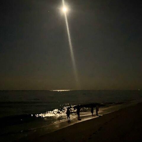 Shine