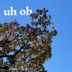 Uh Oh (feat. Austin Calvillo)