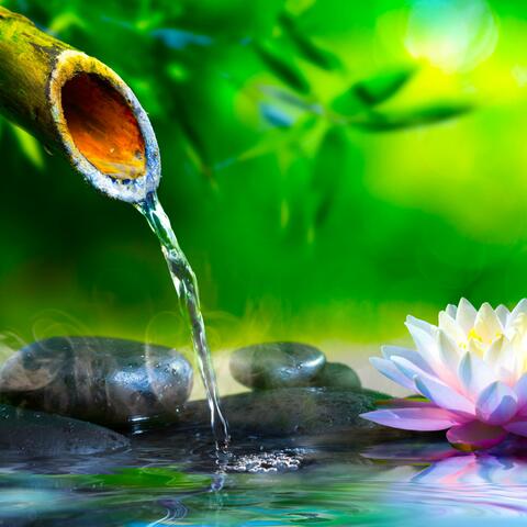 Soothing Sounds