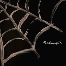 Spiders