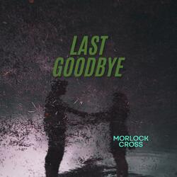 Last Goodbye