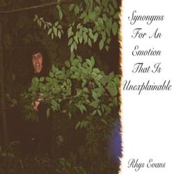 Chicken & Cheese DMT Cart (Is There Anything Better To Do On The Sydney Light Rail?)