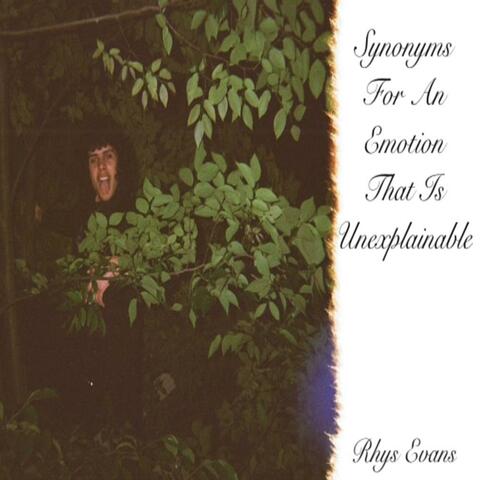 Synonyms For An Emotion That Is Unexplainable