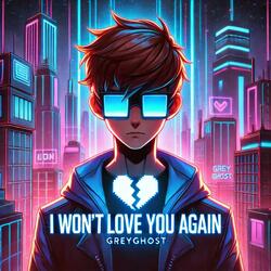 I Won't Love You Again