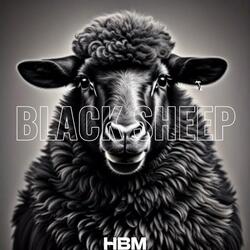 BLACK SHEEP