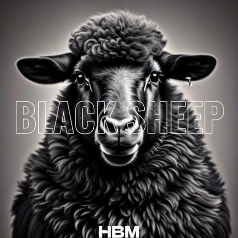 BLACK SHEEP