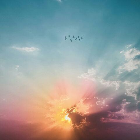 Mellow Music
