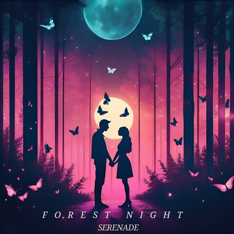 Forest Night Serenade