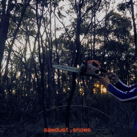 sawdust.snows