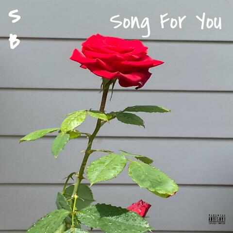 Song For You