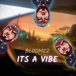 Its a vibe