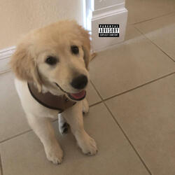 PSYCHOCRAZY (feat. oscaar)