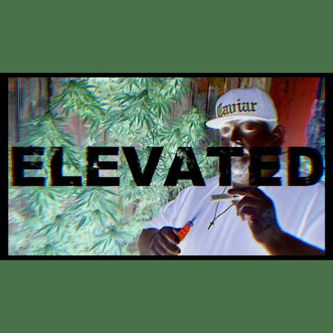 Elevated (feat. Trouble loc)