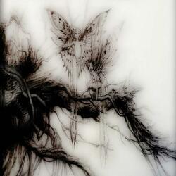 Kelly K