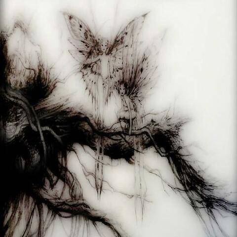 Kelly K