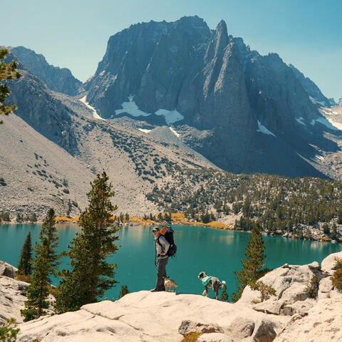 BigPine