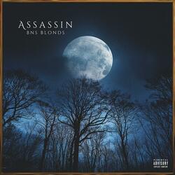 Assassin (feat. FRANKLIN)