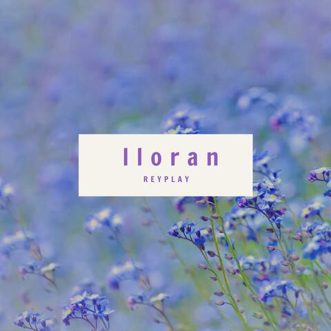LLORAN