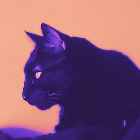 Como loquita (reggaeton session)