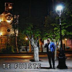 Te Fuiste