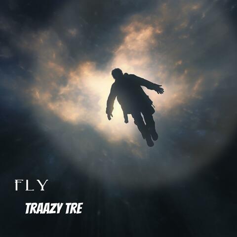 Fly