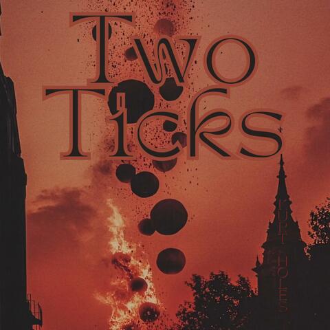 Two Ticks