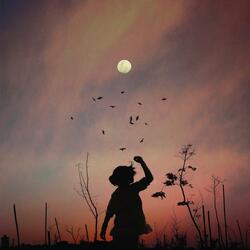 Flight of the Birds