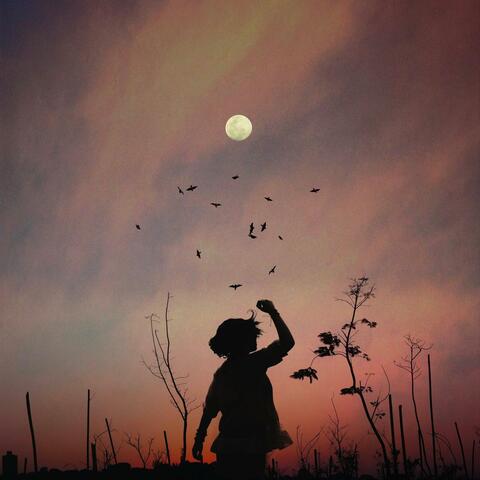 Flight of the Birds
