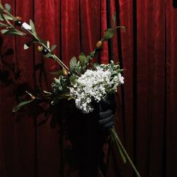 olive branch (demo)