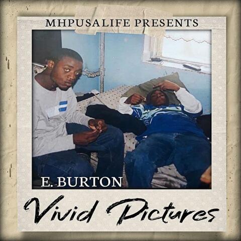 Vivid Pictures