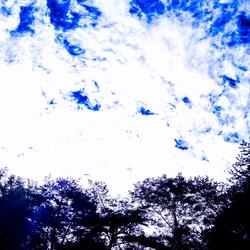 The Only One who Believes in Me