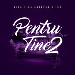 pntru tine 2 (feat. idk & pivo)