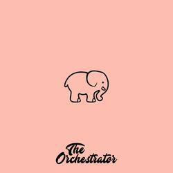 Elephants In The Room